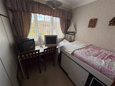 Picture 11